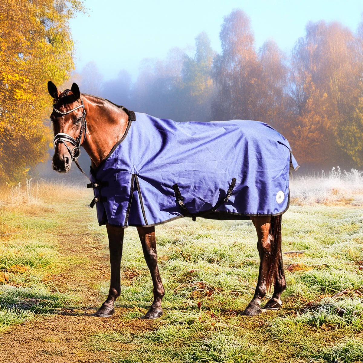Regendecke